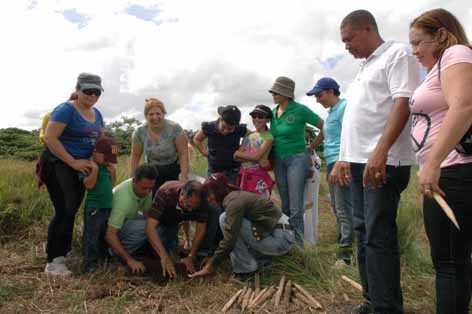 Ferreteros realizan jornada de Reforestación en Monte Plata